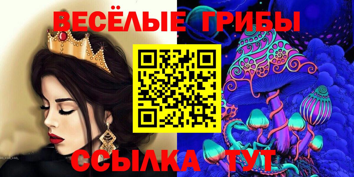 Псилоцибиновые грибы Cubensis Ангарск