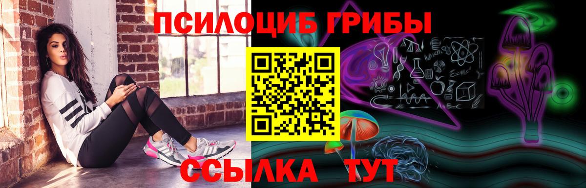 Ангарск  Галлюциногенные грибы Psilocybine cubensis  Вход с VPN  Псилоцибиновые грибы мицелий 